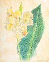 Joseph Stella Floral Mixed Media Drawing - Sold for $1,792 on 03-04-2023 (Lot 103).jpg
